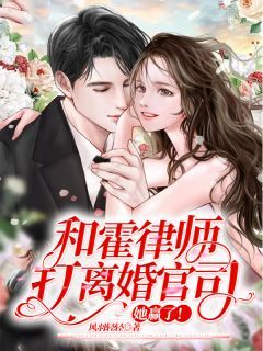 和霍律师打离婚官司,她赢了小说在线阅读