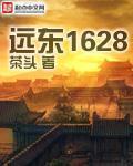 远东1628小说吴三桂