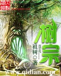 树宗小说创作时间