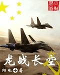 龙战长空 小说