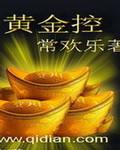 黄金 小说