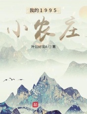 我的1996小农庄