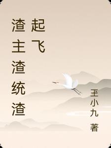 渣 小说