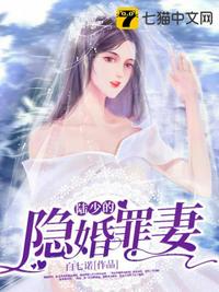 陆少的隐婚罪妻小说完整版