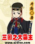 三国之霸主崛起 小说