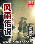 风雨传说 小说