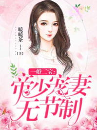 一婚二宝:帝少宠妻无节制全文阅读