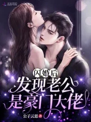 闪婚丈夫是大佬