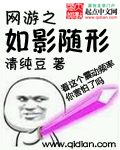 如影随从小说