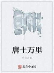 唐土万里epub