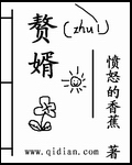 赘婿小说全文免费读完整版