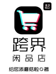 跨界闲品店txt精校