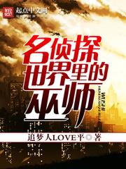 《名侦探世界里的巫师》 作者:追梦人love平