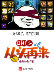 dnf之从头再来小说下载