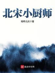 北宋小厨师小说李师师宋徽宗