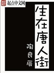 生在唐人街小说不好看