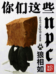 npc你都不放过?