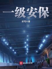 一级安保epub